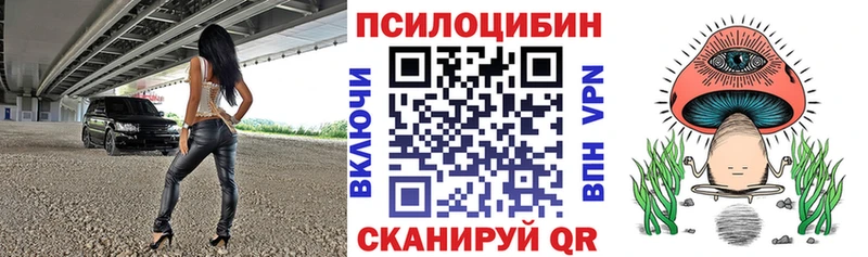 Псилоцибиновые грибы Psilocybe  что такое   Рошаль 